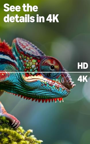 Amazon Ember 50-Inch 4-Series 4K Fire TV with Alexa