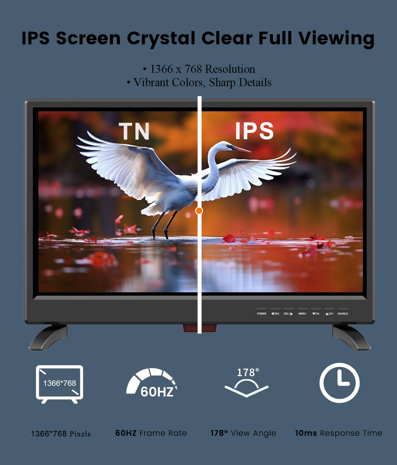 Feihe 19-Inch LED Widescreen TV for Kitchen and RV