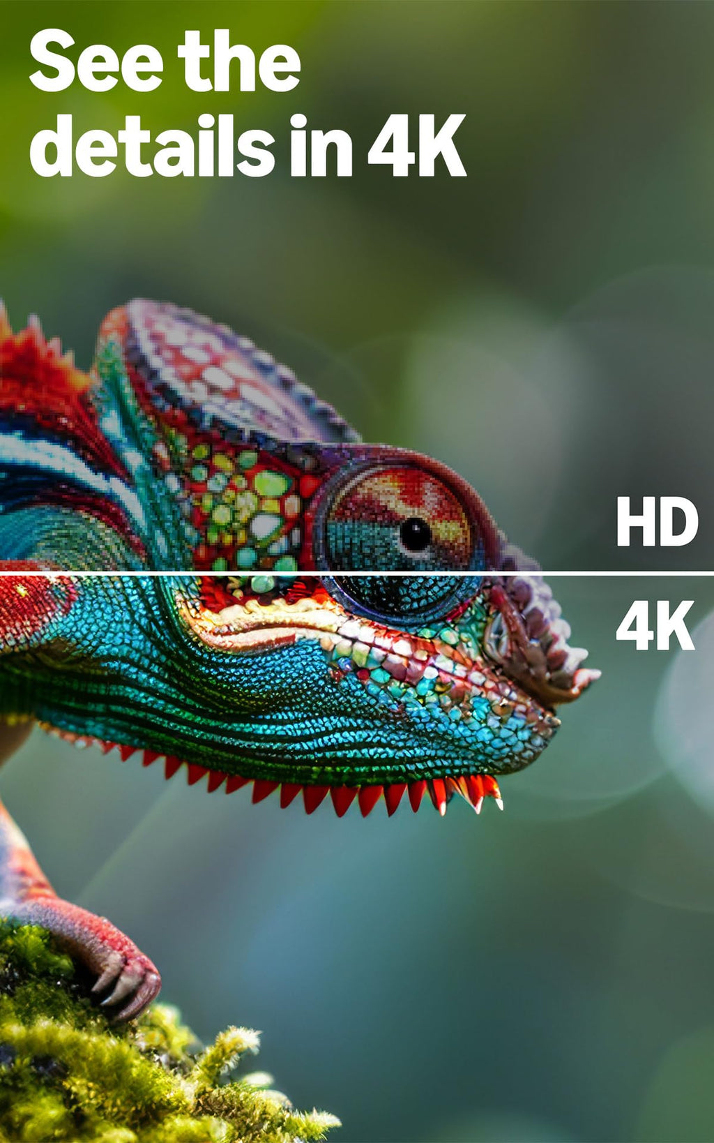 Amazon Ember 55" 4-Series with Fire TV (newest model), 4K Ultra HD smart TV with Alexa Remote, HDR10+, fast processor, Dolby Audio, Ambient Experience, free and live TV, find shows faster with Alexa+