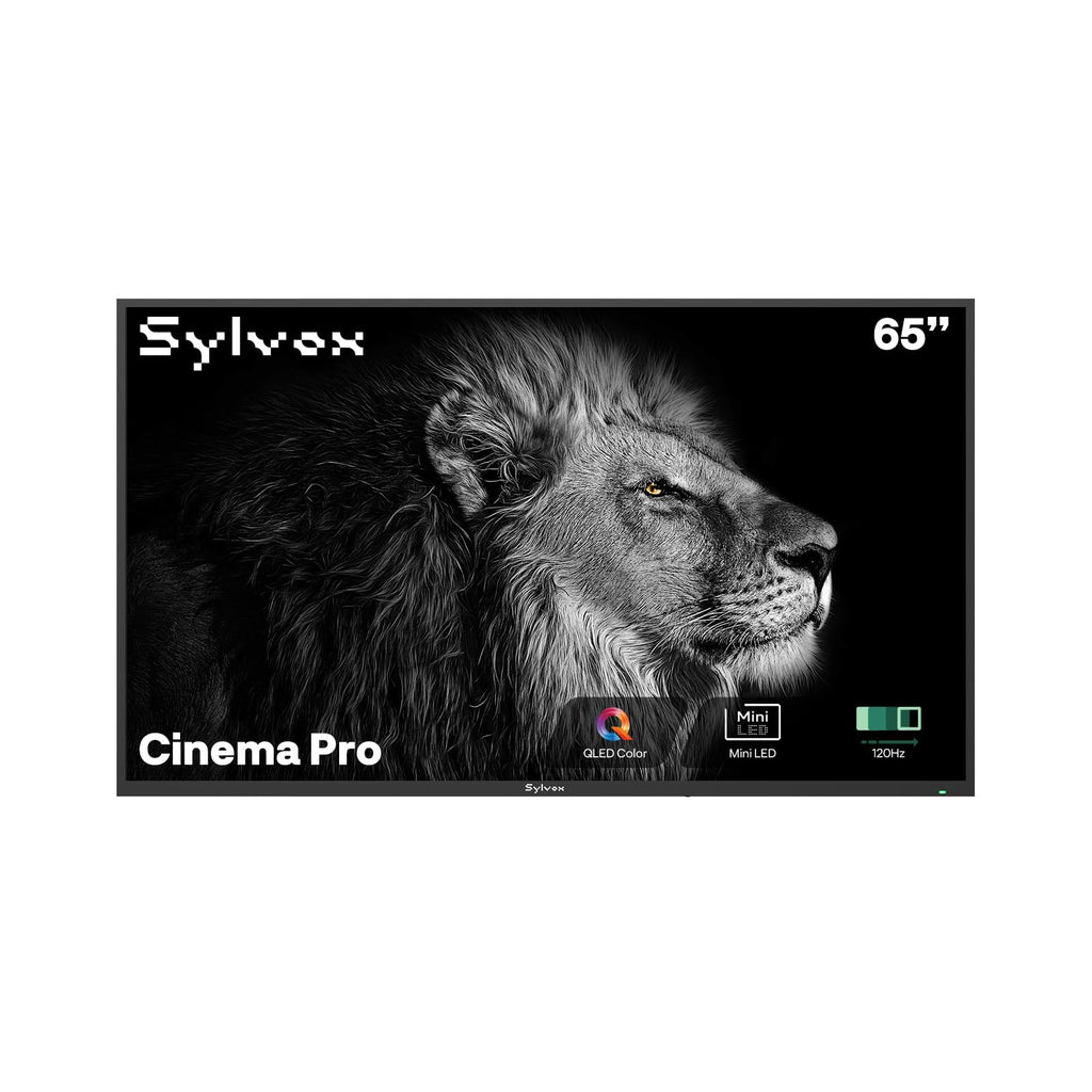 SYLVOX 4K Outdoor Google TV, 1000-Nit Partial Sun
